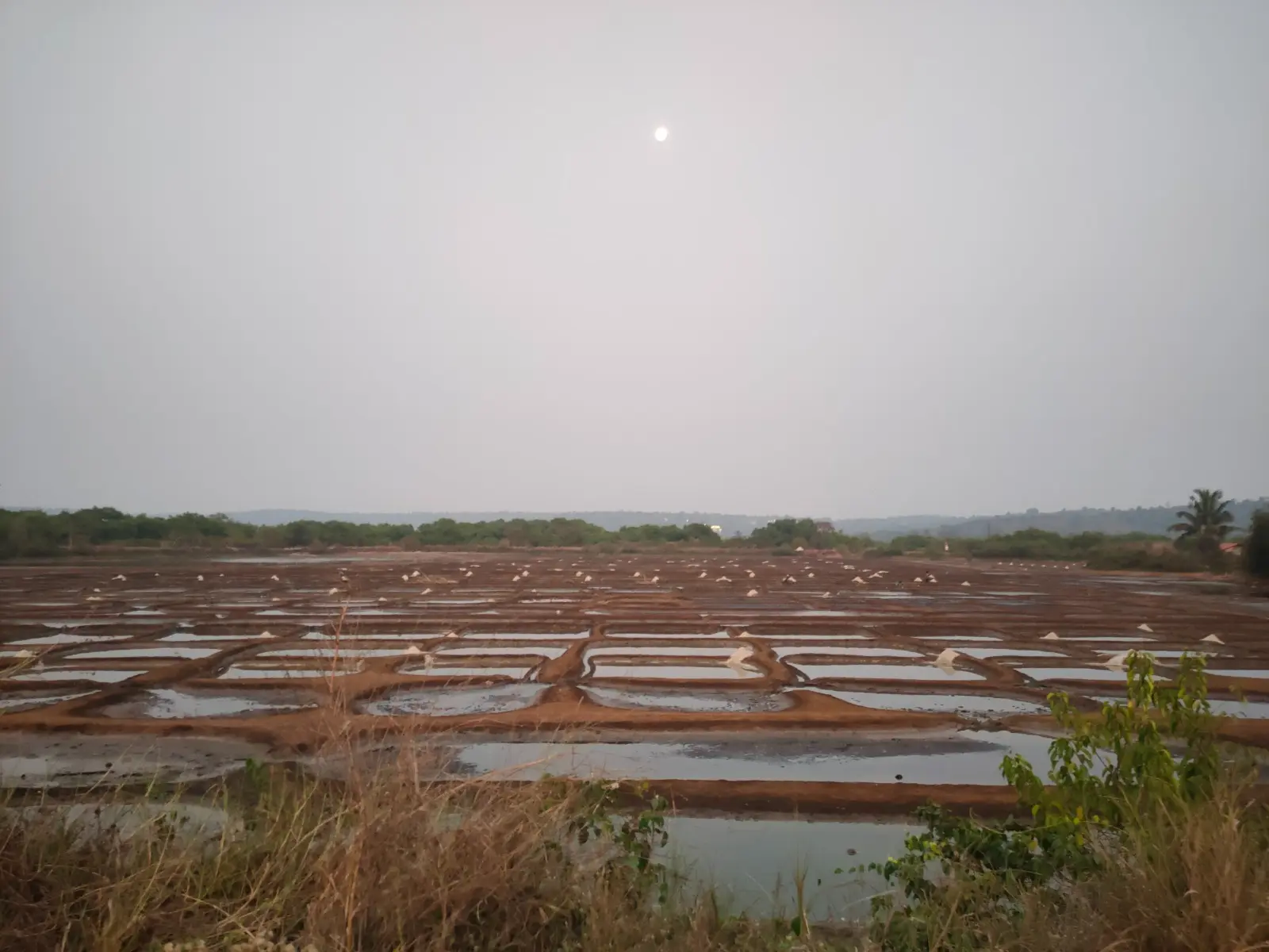 offbeat goa